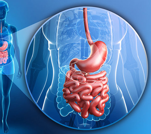 Investigatii de laborator recomandate in tulburari gastrointestinale